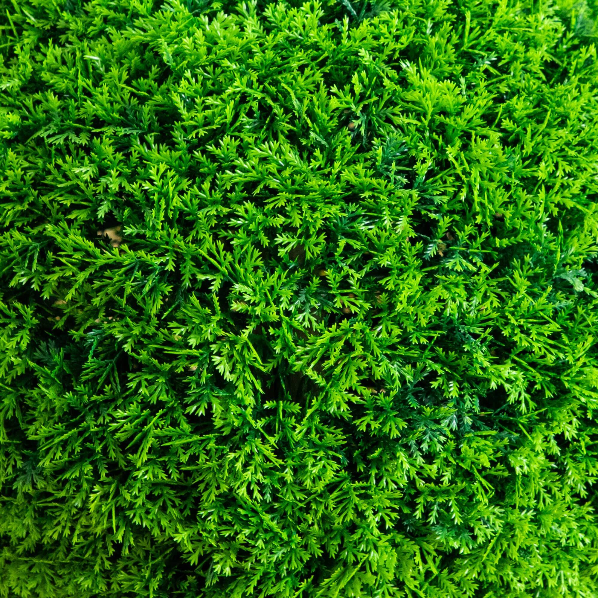 16in. UV Resistant Artificial Mediterranean Cypress Topiary Plant (Indoor/Outdoor)